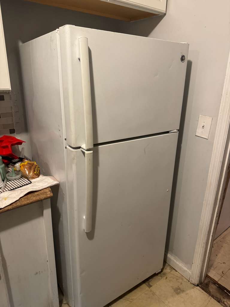 Product Sold – GE White Top and Bottom Refrigerator (Model: GTS16GTHBRWW)