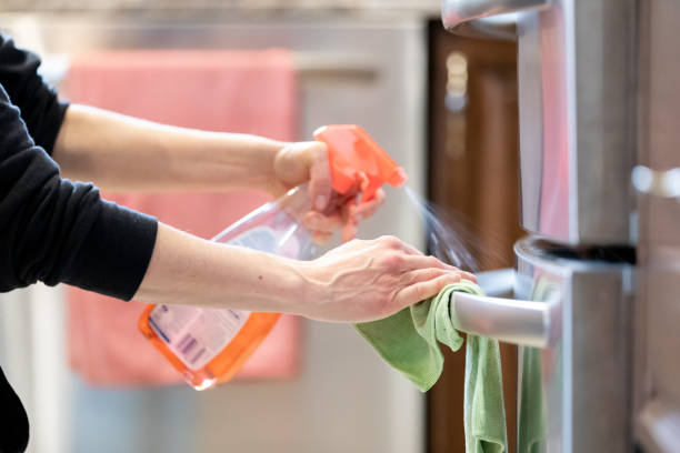 10 Essential Tips for Cleaning Your Refrigerator