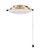 Craftmade - 1 Light Universal Ceiling Fan Light Kit in Espresso Finish with Integrated Dimmable 20-Watt LED Color Temperature Option