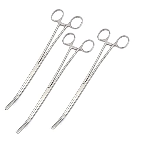 OdontoMed201 Set of 6 Hemostat Locking Forceps 10 Inches, Curved Stainless Steel - Multipurpose Ideal Hemostats for Nurses, Fishing Forceps, Crafts and Hobby