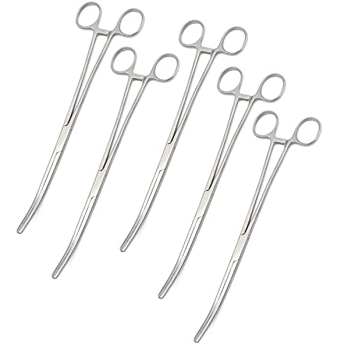 OdontoMed201 Set of 6 Hemostat Locking Forceps 10 Inches, Curved Stainless Steel - Multipurpose Ideal Hemostats for Nurses, Fishing Forceps, Crafts and Hobby