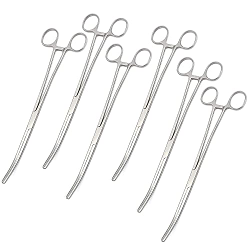 OdontoMed201 Set of 6 Hemostat Locking Forceps 10 Inches, Curved Stainless Steel - Multipurpose Ideal Hemostats for Nurses, Fishing Forceps, Crafts and Hobby