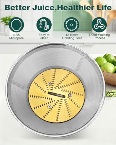 Juicer Replacement Parts BR-1 Compatible with Breville Juice Fountain Juicers, Mesh Filter Basket and Blade Disc for Models JE95XL, JE98XL, BJE200XL, JE900 (No Base)