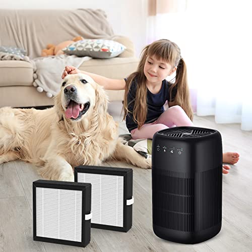 FCFMY 4 Packs Q10 Replacement Filters Compatible with Afloia Q10 Air Cleaner Purifier and Dehumidifier 2-in-1
