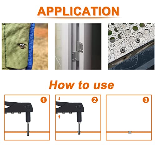 ISPINNER 260pcs Stainless Steel Blind Rivets, 7 Sizes Pop Rivets Assortment Kit