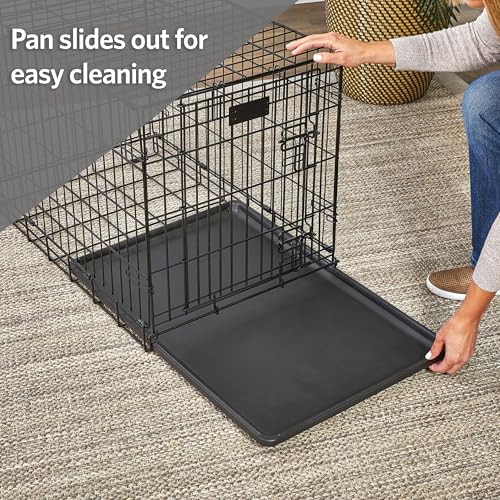 LifeStages by MidWest 24-Inch Replacement Pan, 23.63 x 17.72 x 1 Inches