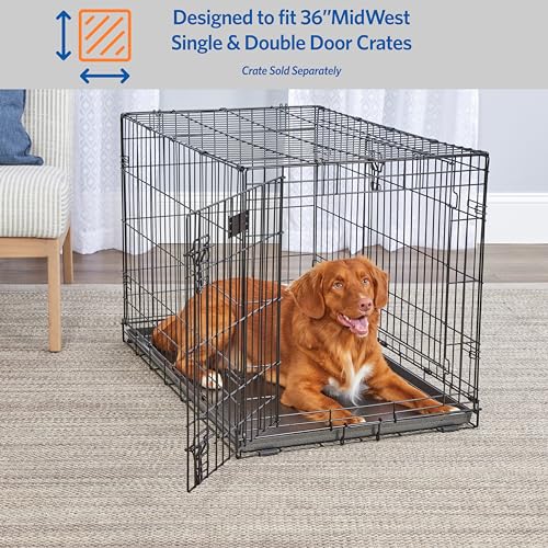 MidWest Homes for Pets Metal Dog Crate Replacement Pan; 36 inch