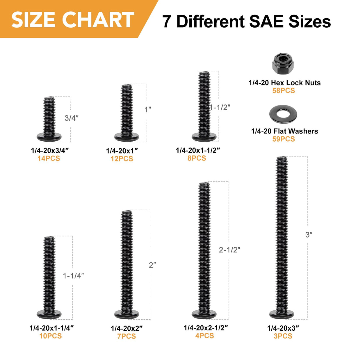 VIGRUE 175PCS 1/4-20 Flat Socket Head Screw Assortment Furniture Bolts Countersunk Screws Lock Nuts Kit, Stainless Steel 18-8 (304), Black Oxide, Length 3/4" to 3"