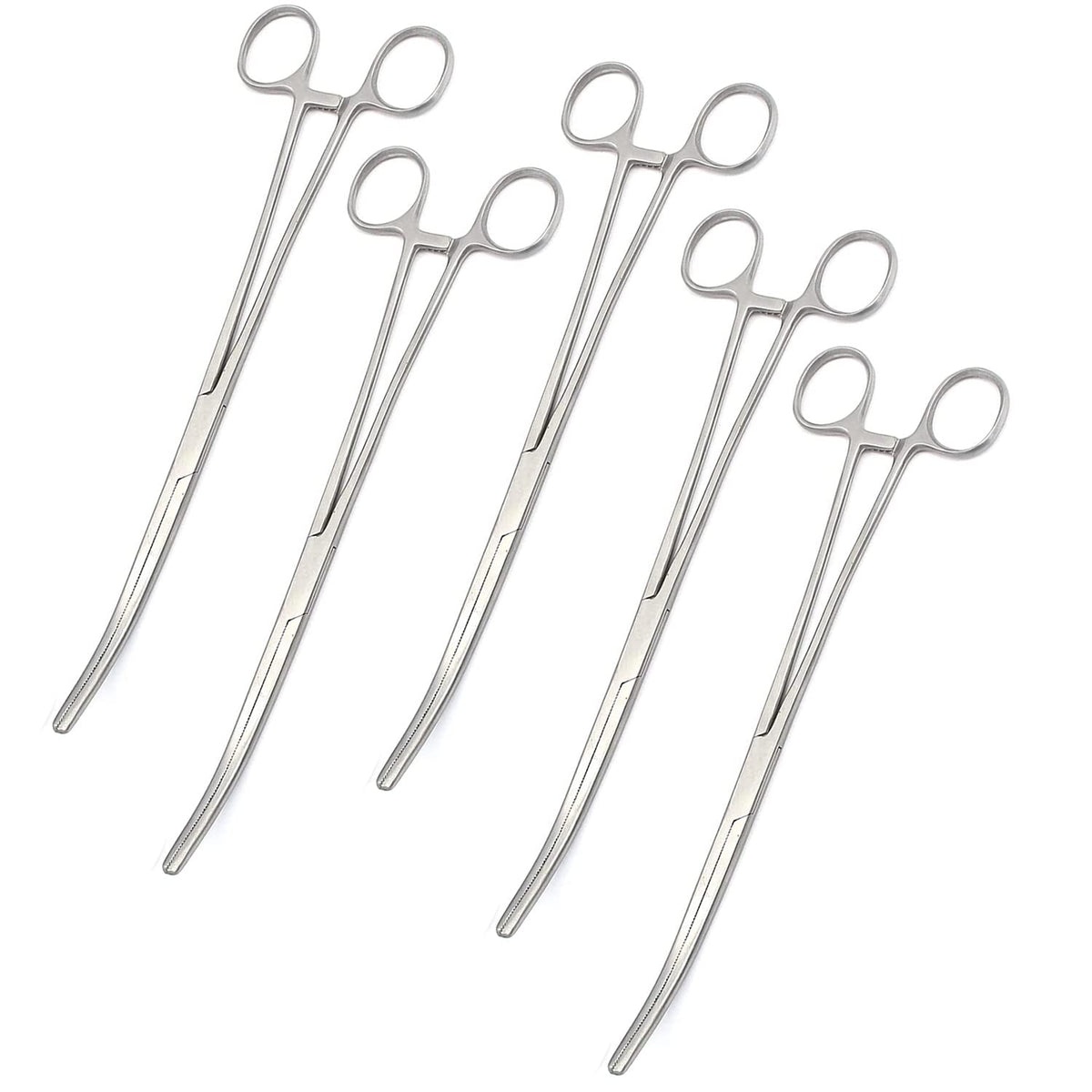 OdontoMed201 Set of 6 Hemostat Locking Forceps 10 Inches, Curved Stainless Steel - Multipurpose Ideal Hemostats for Nurses, Fishing Forceps, Crafts and Hobby