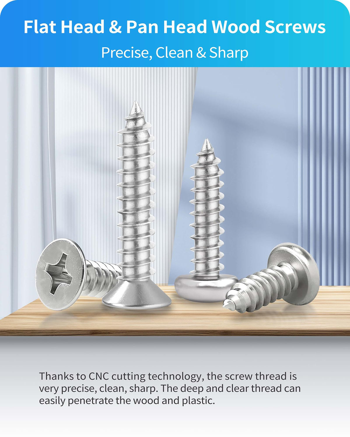DIVANC 580Pcs 304 Stainless Steel Wood Screw Assortment Kit, M3 M4 M5 M6 Phillips Pan Head & Flat Head Sheet Metal Screws Self Tapping Screws Set,16 Sizes Assorted Screw (Silver)