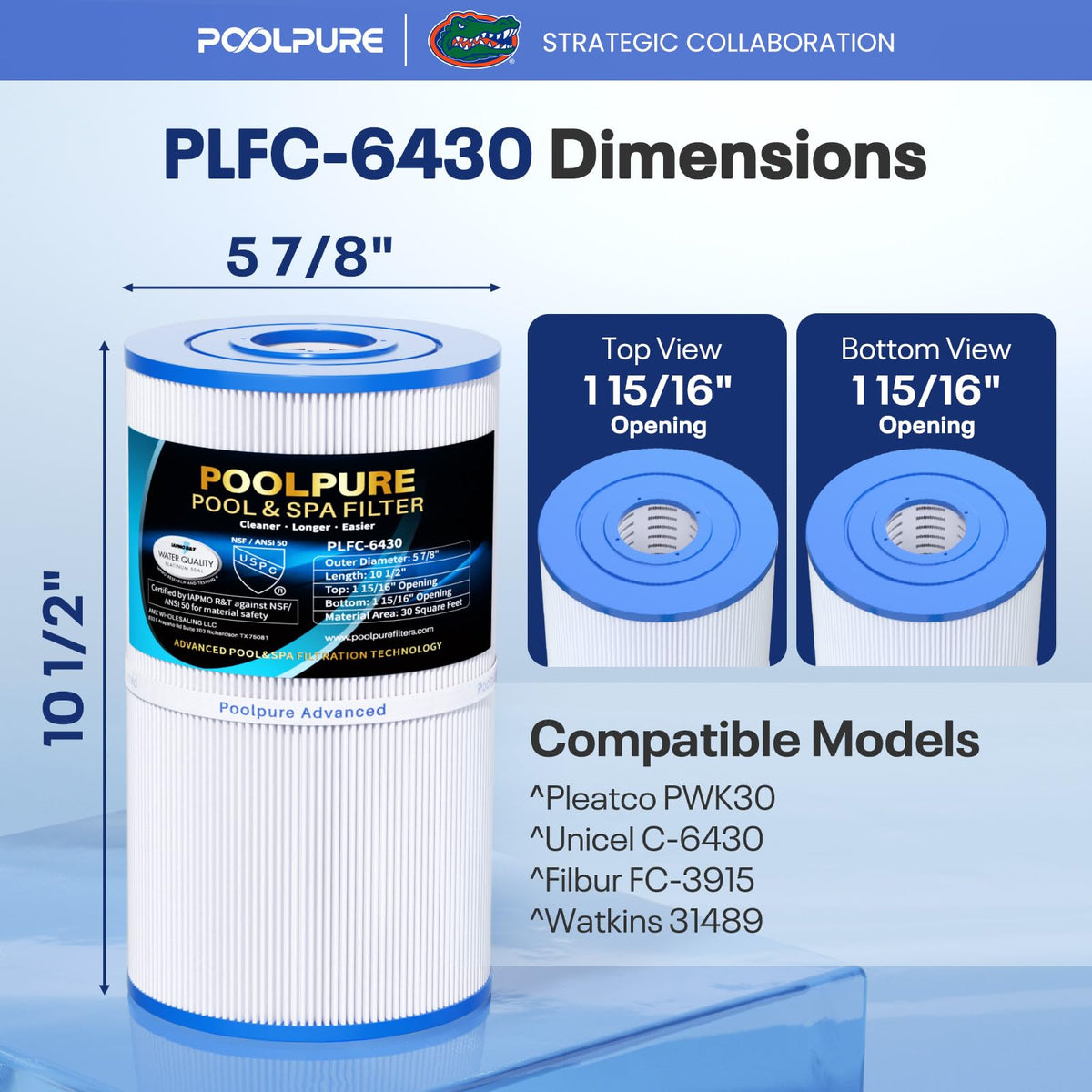 POOLPURE C-6430 Spa Filter Replaces 31489, PWK30, Filbur FC-3915, 3 Pack