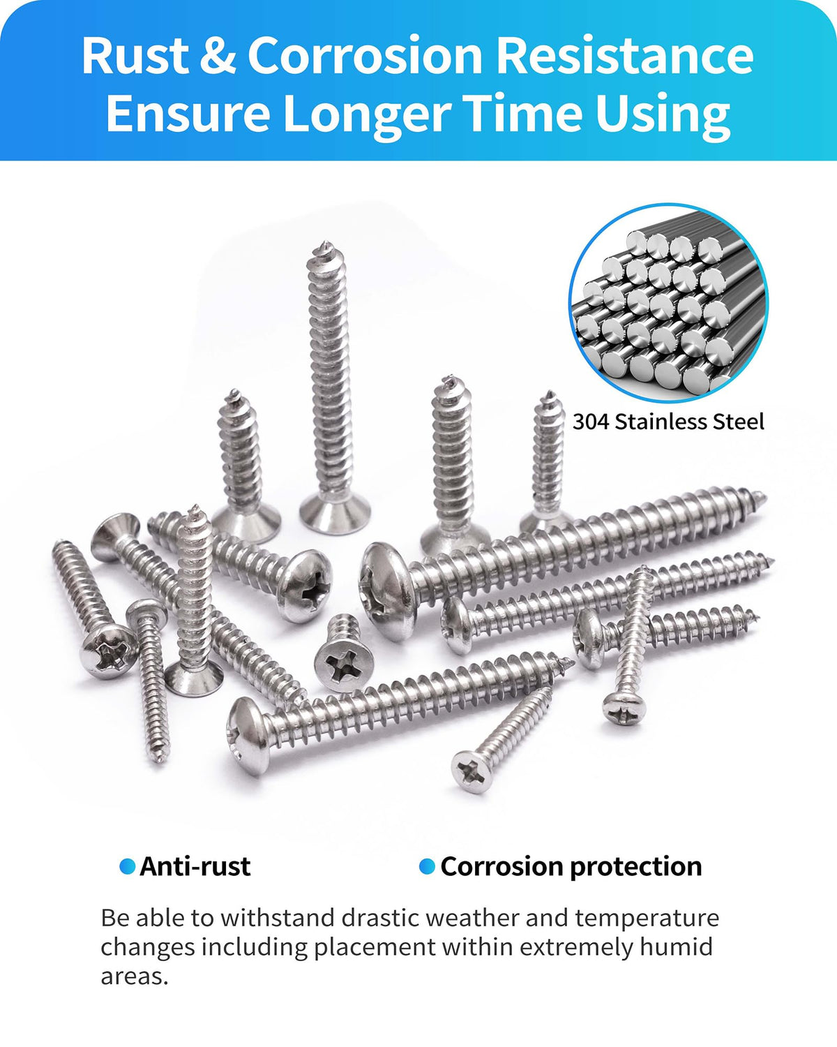 DIVANC 580Pcs 304 Stainless Steel Wood Screw Assortment Kit, M3 M4 M5 M6 Phillips Pan Head & Flat Head Sheet Metal Screws Self Tapping Screws Set,16 Sizes Assorted Screw (Silver)