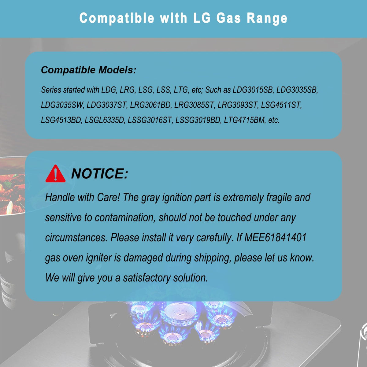 MEE61841401 Gas Range Igniter Replacement for Gas Oven Burner Ignitor- Compatible with LG Gas Stove Ignitor - LG Oven Igniter Replaces MEE61841403 MEE63084901 AP5214765 PS3535362 EAP3535362